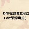 DNF紫息毒龙可以封吗?（dnf紫息毒龙）