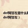 dnf阿甘左是什么职业（dnf阿甘左）