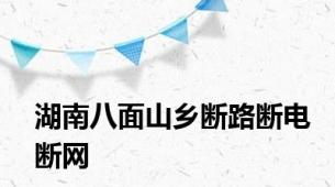 湖南八面山乡断路断电断网