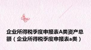 企业所得税季度申报表A类资产总额（企业所得税季度申报表a类）