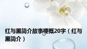 红与黑简介故事梗概20字（红与黑简介）