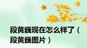 段黄巍现在怎么样了（段黄巍图片）