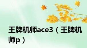 王牌机师ace3（王牌机师p）