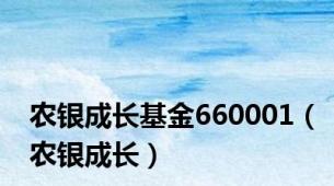 农银成长基金660001（农银成长）