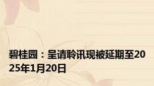 碧桂园：呈请聆讯现被延期至2025年1月20日