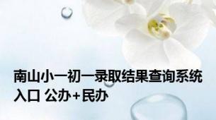 南山小一初一录取结果查询系统入口 公办+民办