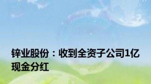 锌业股份：收到全资子公司1亿现金分红