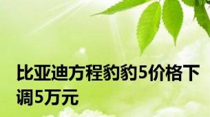 比亚迪方程豹豹5价格下调5万元