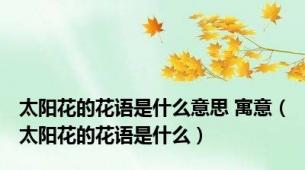 太阳花的花语是什么意思 寓意（太阳花的花语是什么）