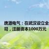 唐源电气：在武汉设立全资子公司，注册资本1000万元