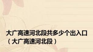 大广高速河北段共多少个出入口（大广高速河北段）