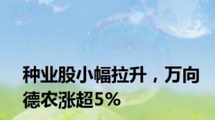 种业股小幅拉升，万向德农涨超5%