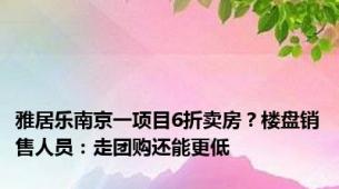 雅居乐南京一项目6折卖房？楼盘销售人员：走团购还能更低