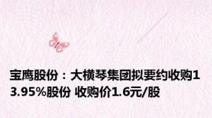 宝鹰股份：大横琴集团拟要约收购13.95%股份 收购价1.6元/股