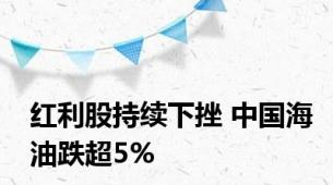 红利股持续下挫 中国海油跌超5%