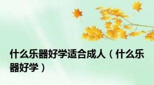 什么乐器好学适合成人（什么乐器好学）