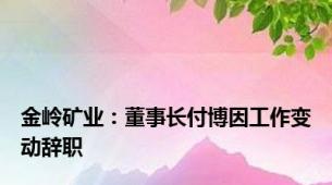 金岭矿业：董事长付博因工作变动辞职