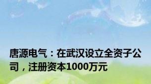 唐源电气：在武汉设立全资子公司，注册资本1000万元