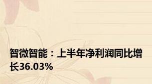 智微智能：上半年净利润同比增长36.03%