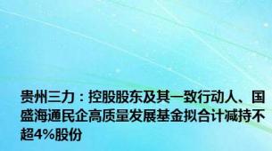 贵州三力：控股股东及其一致行动人、国盛海通民企高质量发展基金拟合计减持不超4%股份