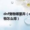 dnf宠物哪里弄（dnf宠物怎么得）