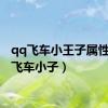 qq飞车小王子属性（qq飞车小子）