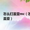 怎么打盖亚mc（怎么打盖亚）