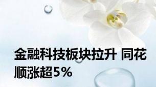 金融科技板块拉升 同花顺涨超5%