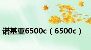 诺基亚6500c（6500c）