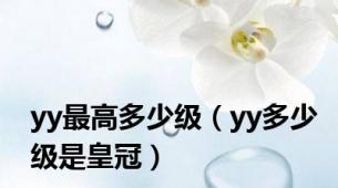 yy最高多少级（yy多少级是皇冠）