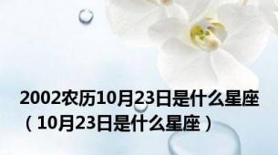 2002农历10月23日是什么星座（10月23日是什么星座）