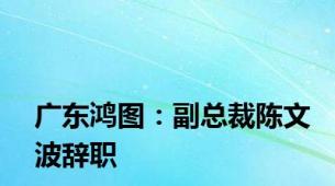 广东鸿图：副总裁陈文波辞职