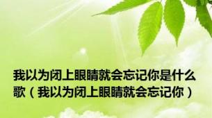 我以为闭上眼睛就会忘记你是什么歌（我以为闭上眼睛就会忘记你）