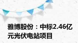 雅博股份：中标2.46亿元光伏电站项目