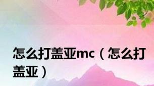 怎么打盖亚mc（怎么打盖亚）