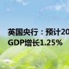 英国央行：预计2024年GDP增长1.25%