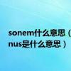 sonem什么意思（somnus是什么意思）