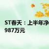 ST春天：上半年净亏损5987万元