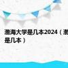 渤海大学是几本2024（渤海大学是几本）