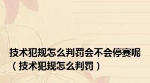 技术犯规怎么判罚会不会停赛呢（技术犯规怎么判罚）