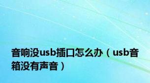 音响没usb插口怎么办（usb音箱没有声音）