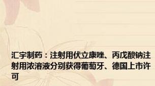 汇宇制药：注射用伏立康唑、丙戊酸钠注射用浓溶液分别获得葡萄牙、德国上市许可