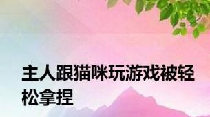 主人跟猫咪玩游戏被轻松拿捏