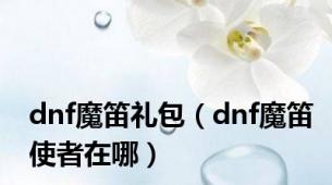 dnf魔笛礼包（dnf魔笛使者在哪）