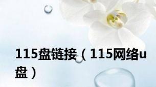 115盘链接（115网络u盘）