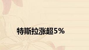 特斯拉涨超5%