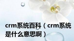 crm系统百科（crm系统是什么意思啊）