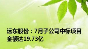 远东股份：7月子公司中标项目金额达19.73亿