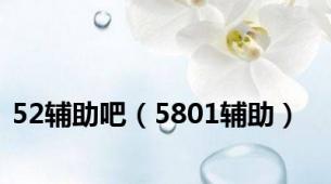 52辅助吧（5801辅助）