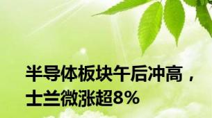 半导体板块午后冲高，士兰微涨超8%